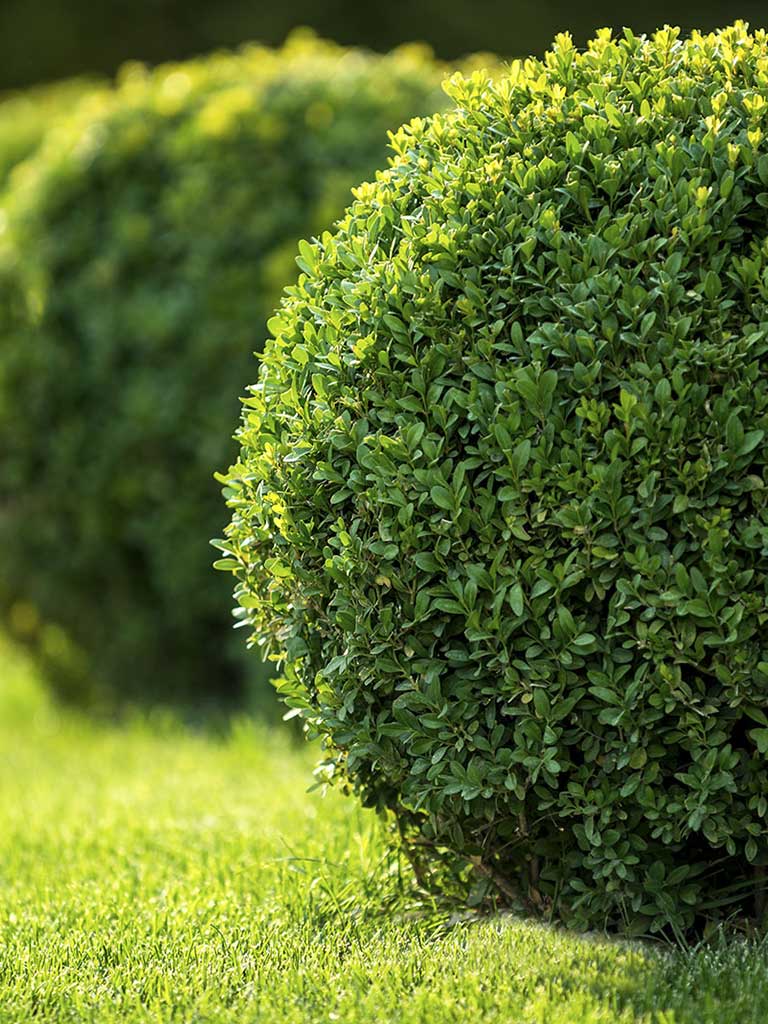 creekside lawn care on Home Boerne Commercial Property Maintenance Landscaping And Lawn Care